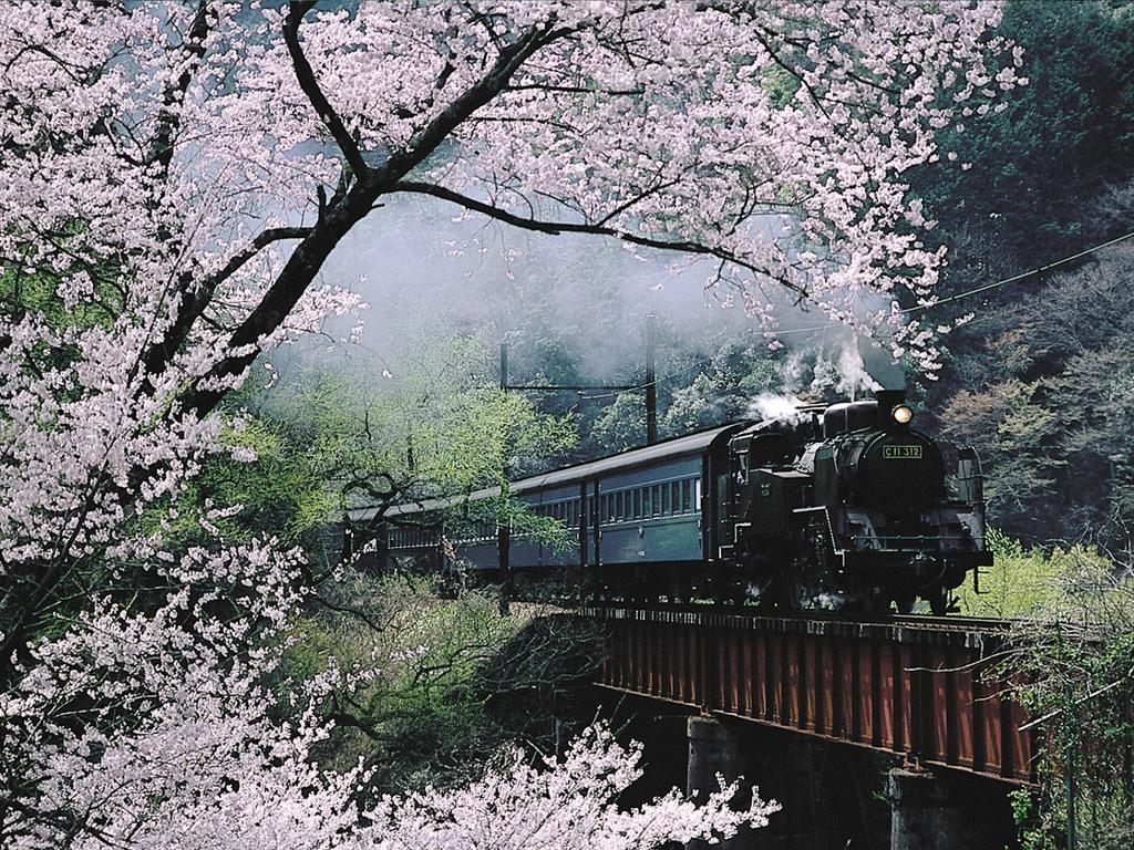 Suikoen Hotel Sizuoka Kültér fotó